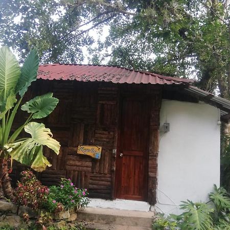 Villa Ecoturistica La Huerta De Xilitla Ngoại thất bức ảnh