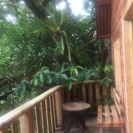 Villa Ecoturistica La Huerta De Xilitla Ngoại thất bức ảnh
