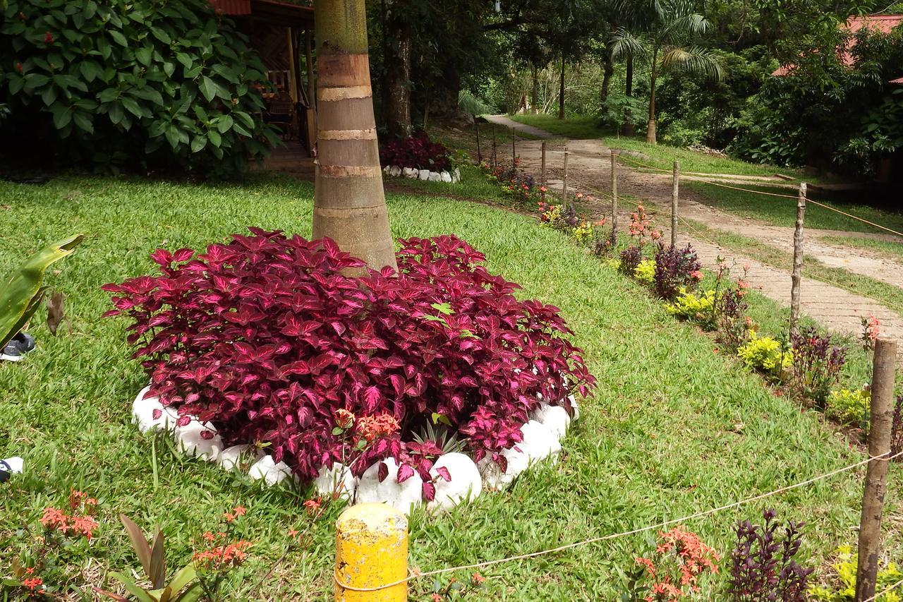 Villa Ecoturistica La Huerta De Xilitla Ngoại thất bức ảnh