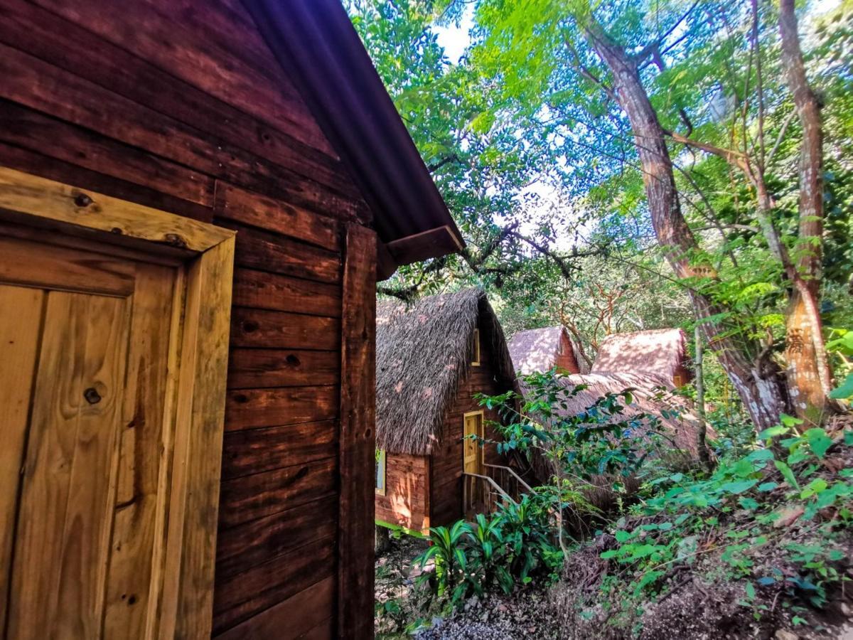 Villa Ecoturistica La Huerta De Xilitla Ngoại thất bức ảnh